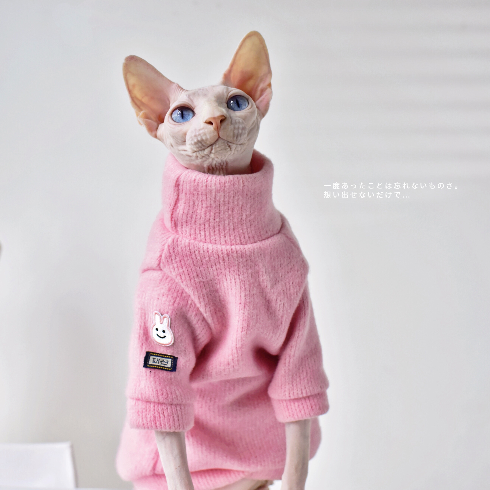 Sphynx Cat Sweater Elegant Warm Hairless Cat Clothing Comfort Winter Dress  Devon